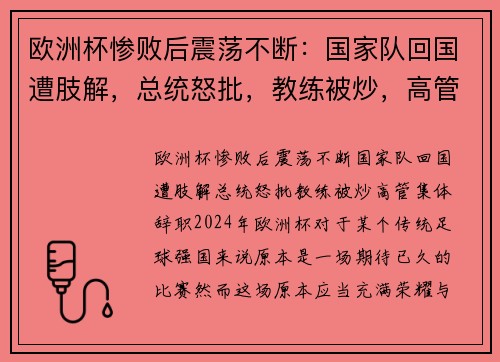 欧洲杯惨败后震荡不断：国家队回国遭肢解，总统怒批，教练被炒，高管集体辞职